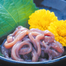 Ika Somen Shiokara
(salted and fermented squid)
